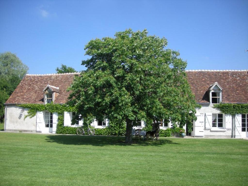 La Touche Bed & Breakfast Menetou-sur-Nahon Exterior foto